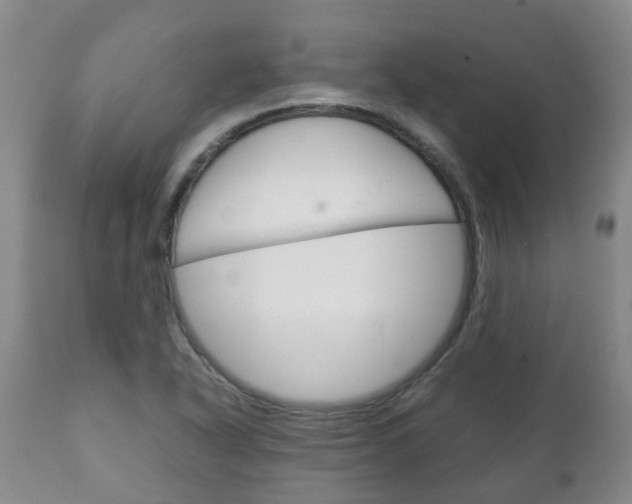 X0000111231318200907021014