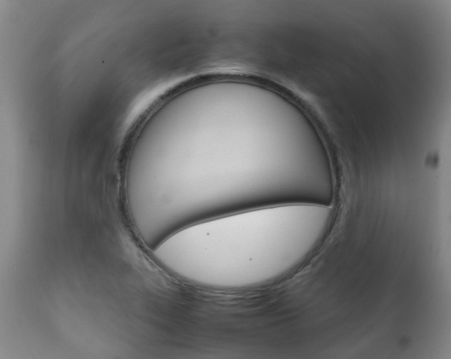 X0000111231319200907021014