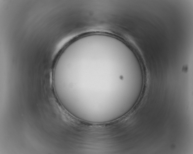 X0000111231320200907021014