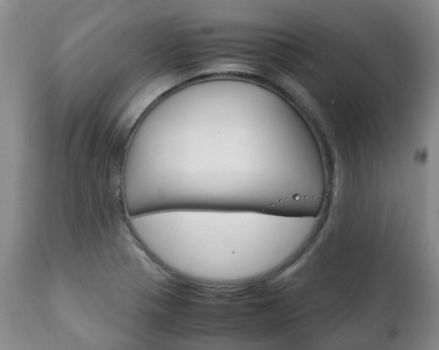 X0000111231321200907021014