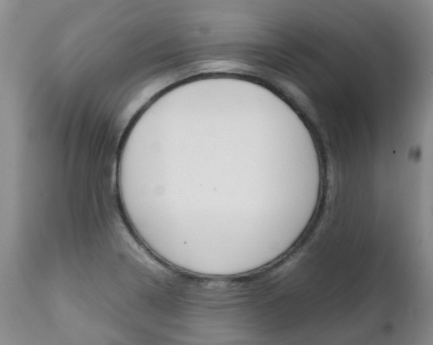 X0000111231322200907021014