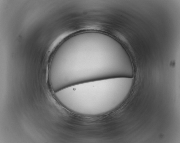 X0000111231323200907021014
