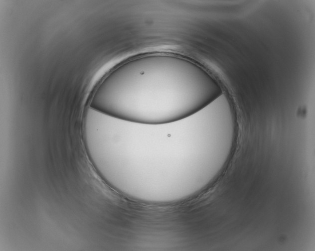 X0000111231324200907021014