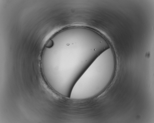X0000111231325200907021014