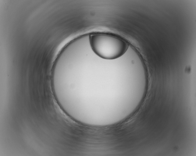 X0000111231326200907021014