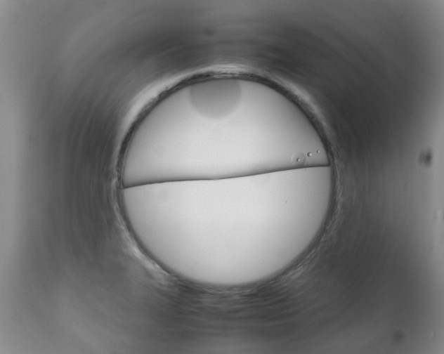 X0000111231327200907021014