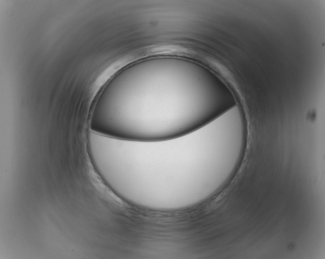 X0000111231330200907021014