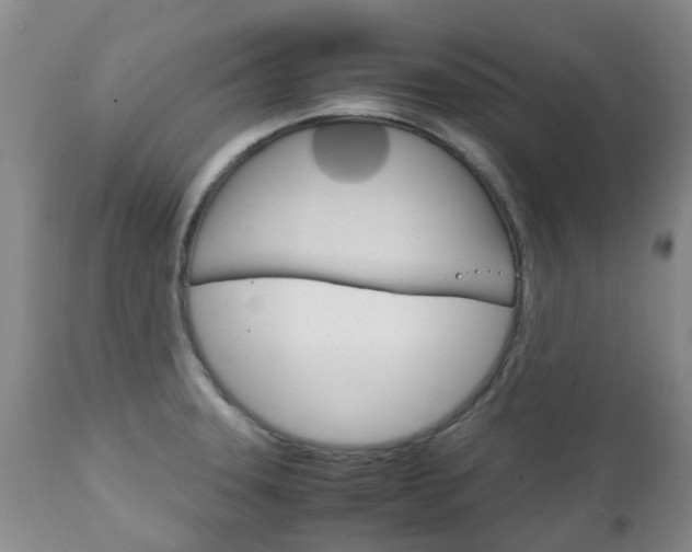 X0000111231331200907021014