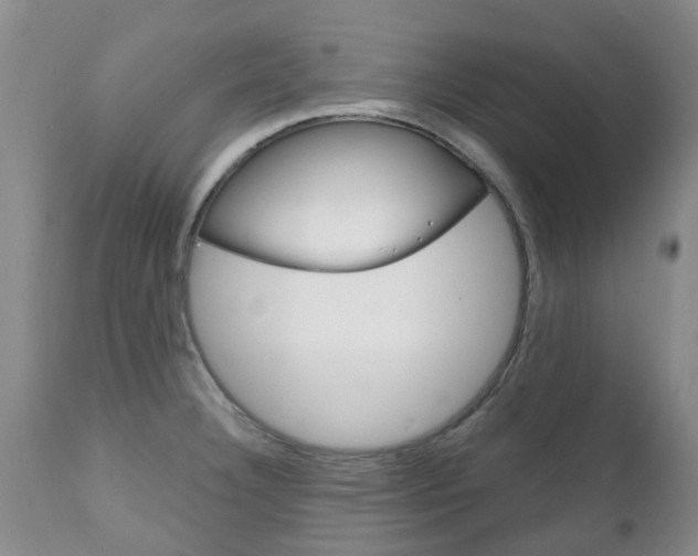 X0000111231332200907021014