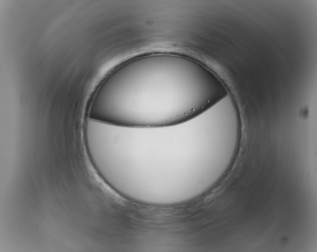 X0000111231334200907021014