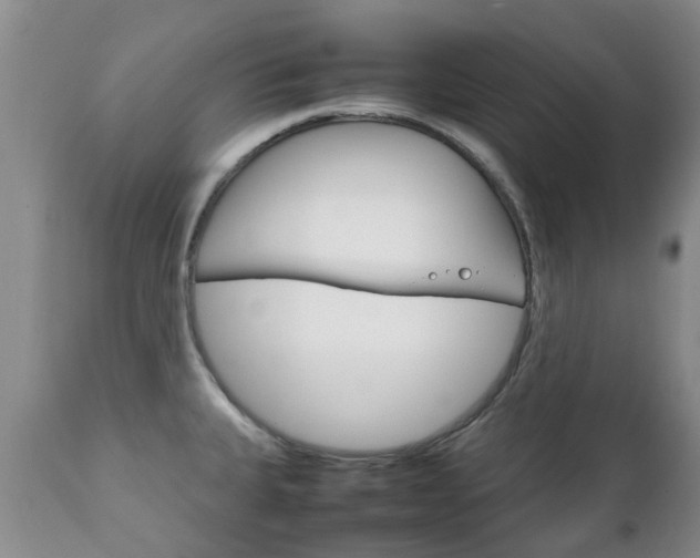 X0000111231335200907021014