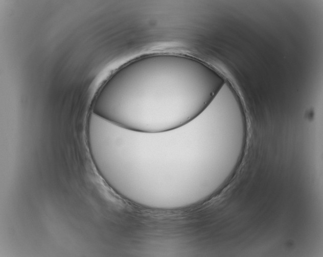 X0000111231336200907021014