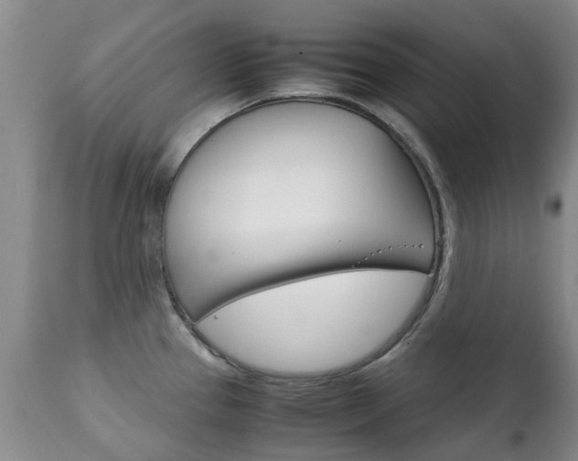 X0000111231337200907021014