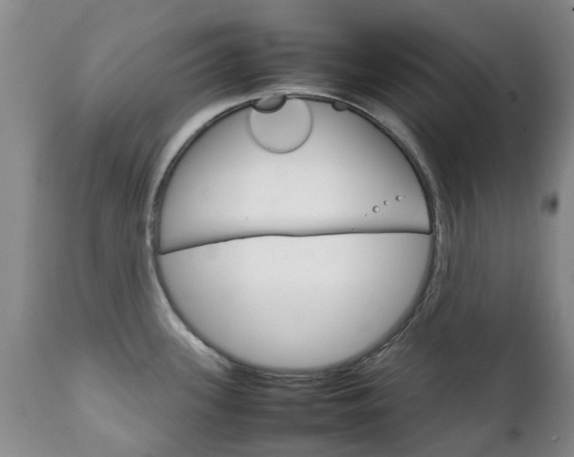 X0000111231339200907021014
