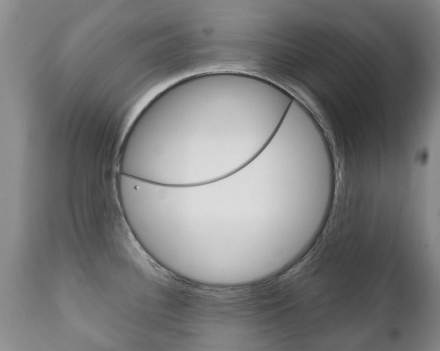 X0000111231340200907021014