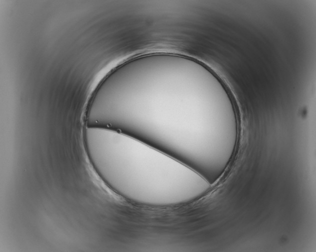 X0000111231341200907021014