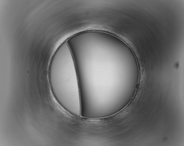 X0000111231342200907021014