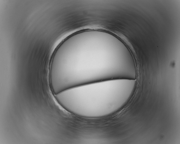 X0000111231343200907021014