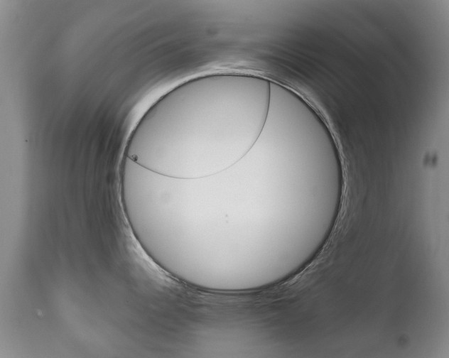 X0000111231344200907021014