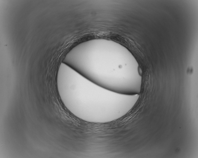 X0000111231345200907021014