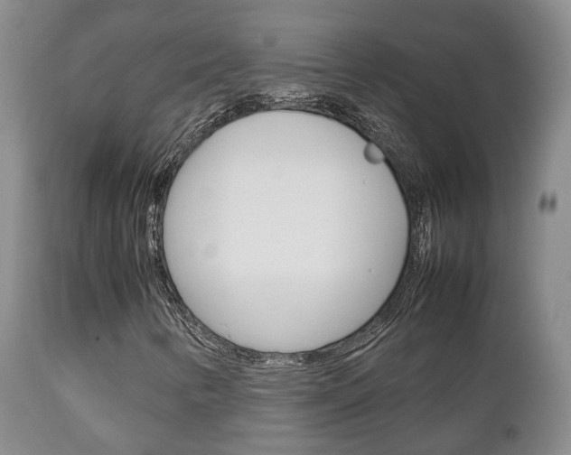 X0000111231346200907021014