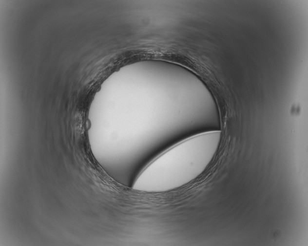X0000111231347200907021014