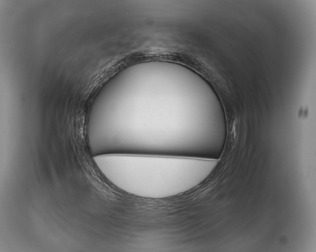 X0000111231348200907021014