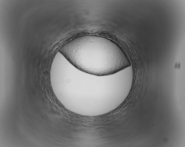 X0000111231349200907021014