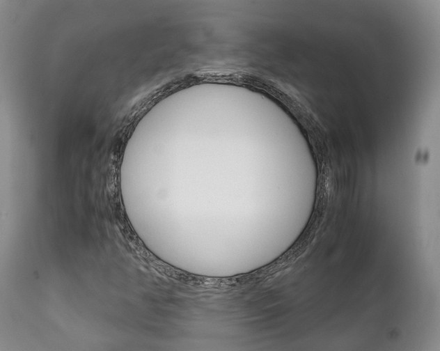 X0000111231350200907021014