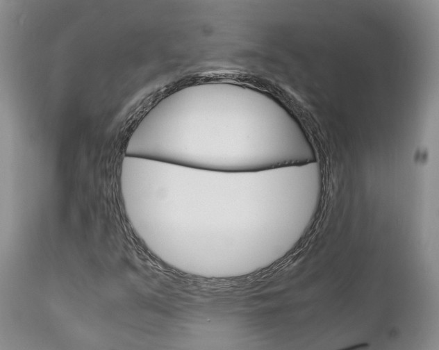 X0000111231351200907021014