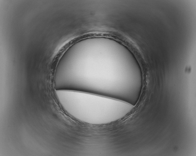 X0000111231352200907021014