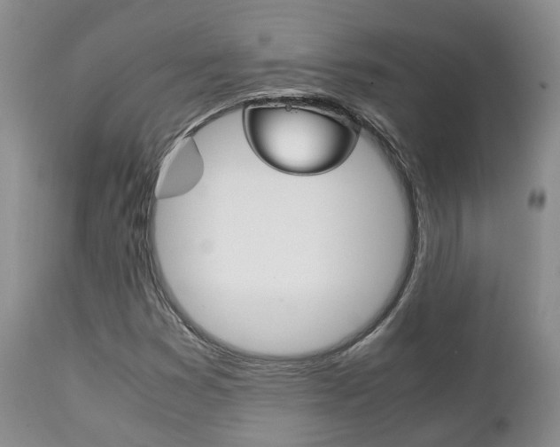 X0000111231353200907021014