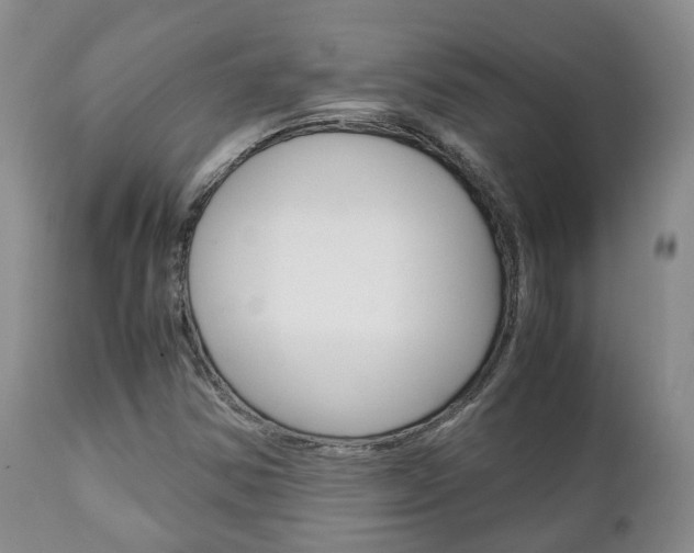 X0000111231354200907021014