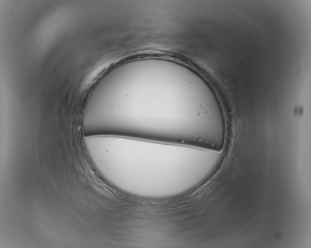 X0000111231355200907021014