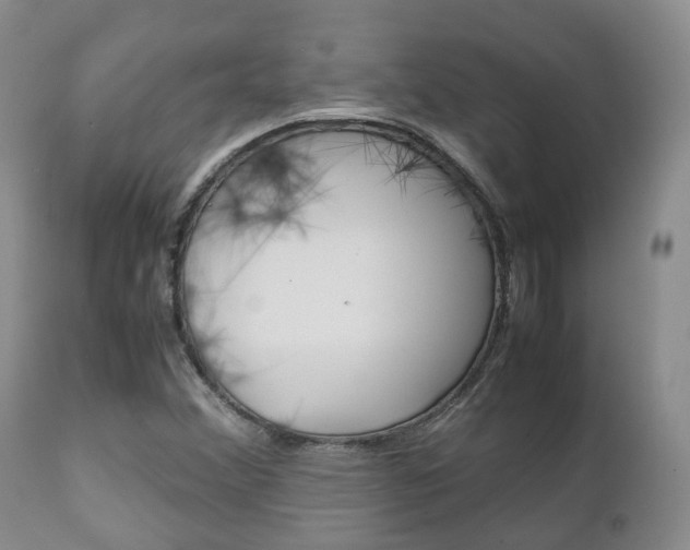 X0000111231356200907021013