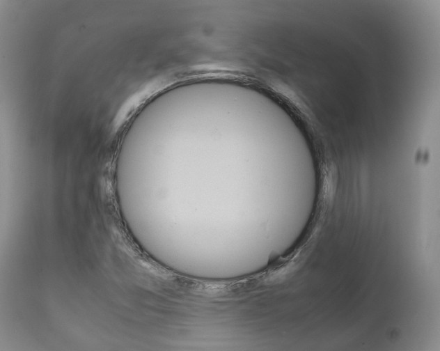 X0000111231357200907021013