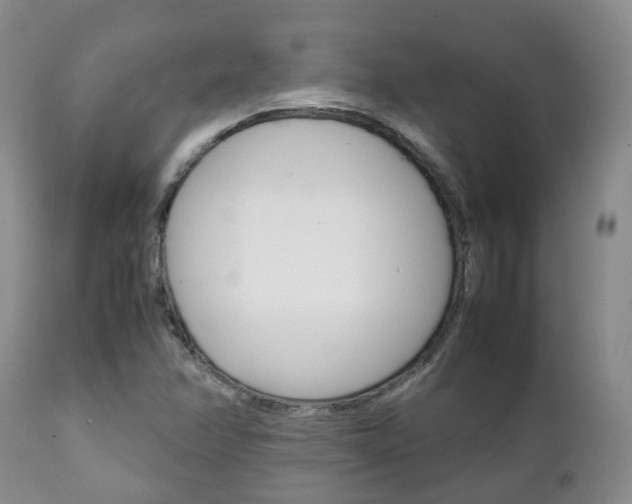 X0000111231358200907021013