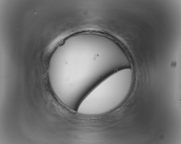 X0000111231359200907021013