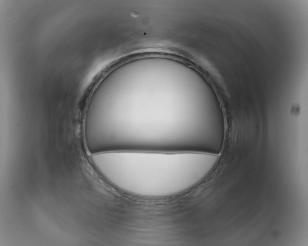 X0000111231360200907021013