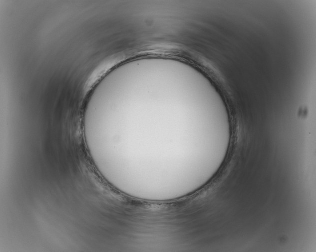 X0000111231362200907021013