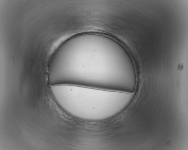 X0000111231363200907021013