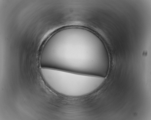 X0000111231364200907021013