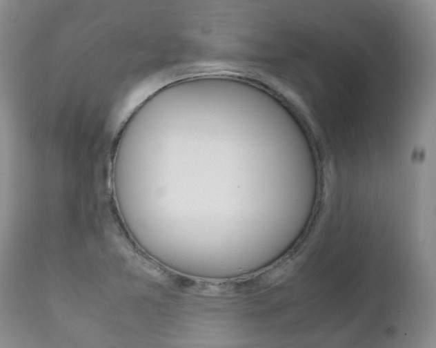 X0000111231365200907021013