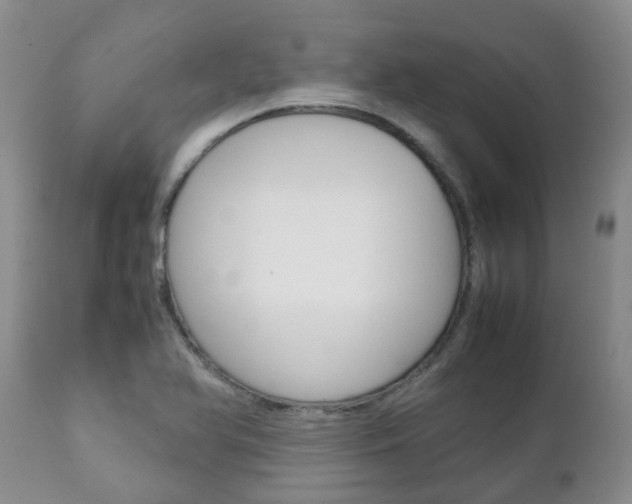 X0000111231366200907021013