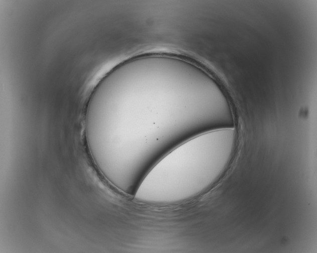 X0000111231367200907021013
