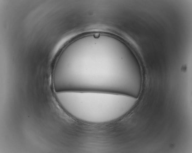 X0000111231368200907021013
