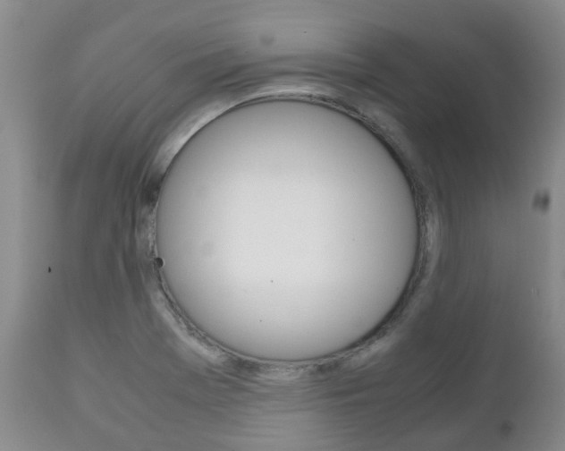 X0000111231369200907021013