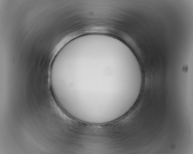 X0000111231370200907021013