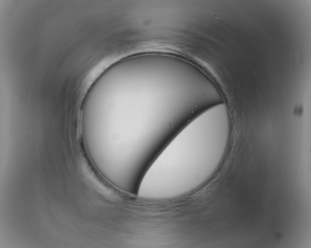 X0000111231371200907021013