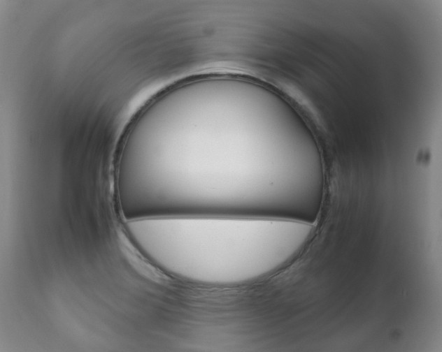 X0000111231372200907021013